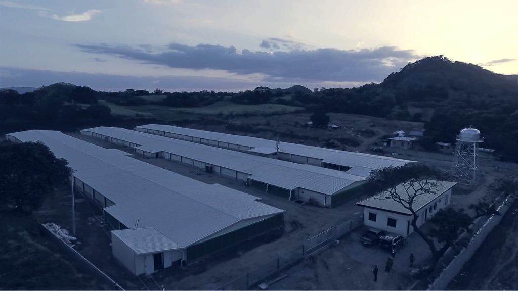 Aerial view of the FEDHERS grow-out buildings at dusk