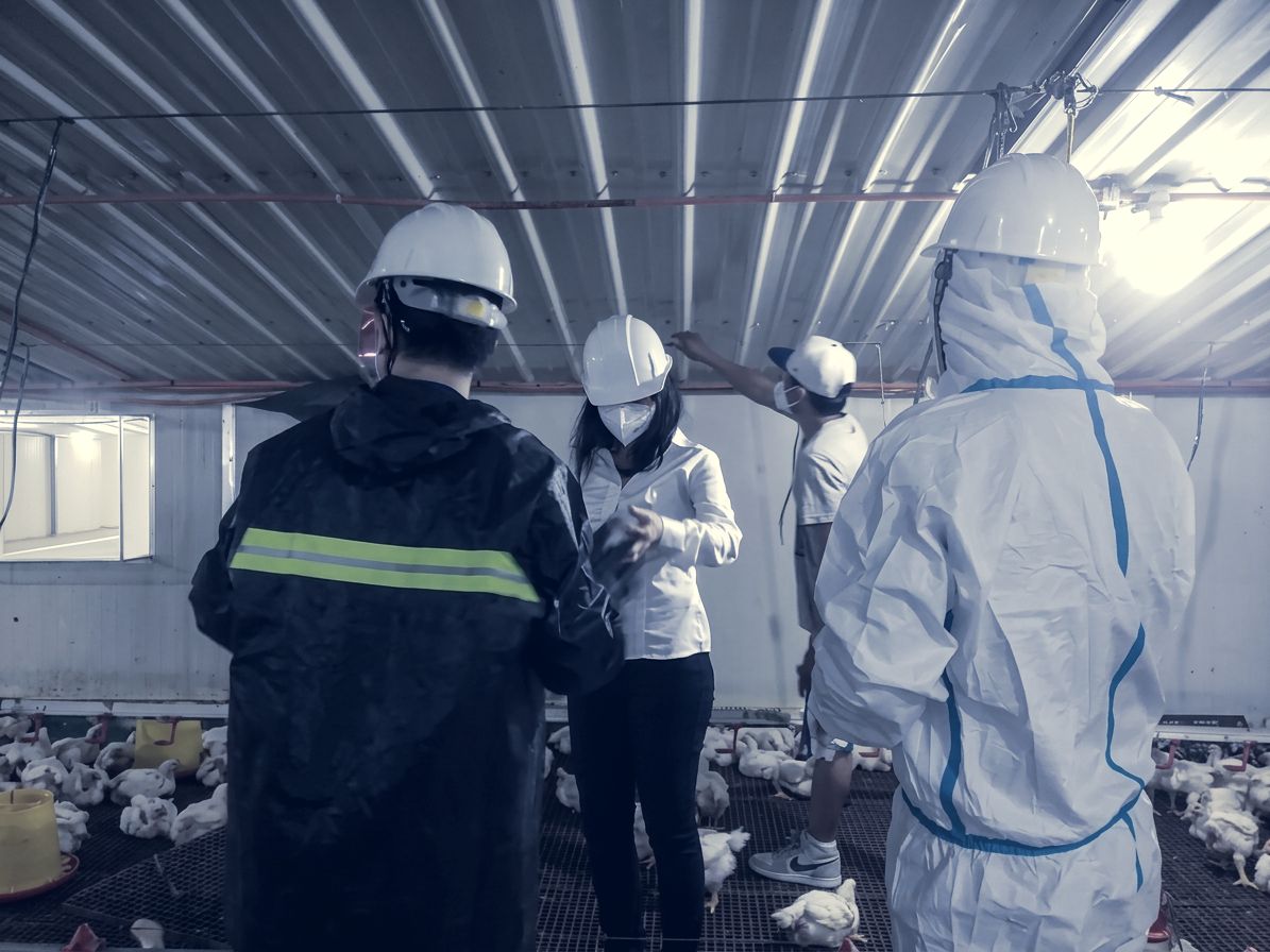 Visitors in protective gear checking birds inside a house